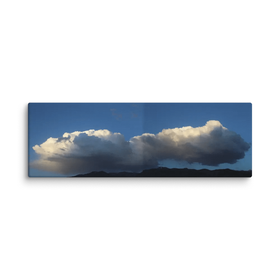 Fluffy - Canvas product image (1)