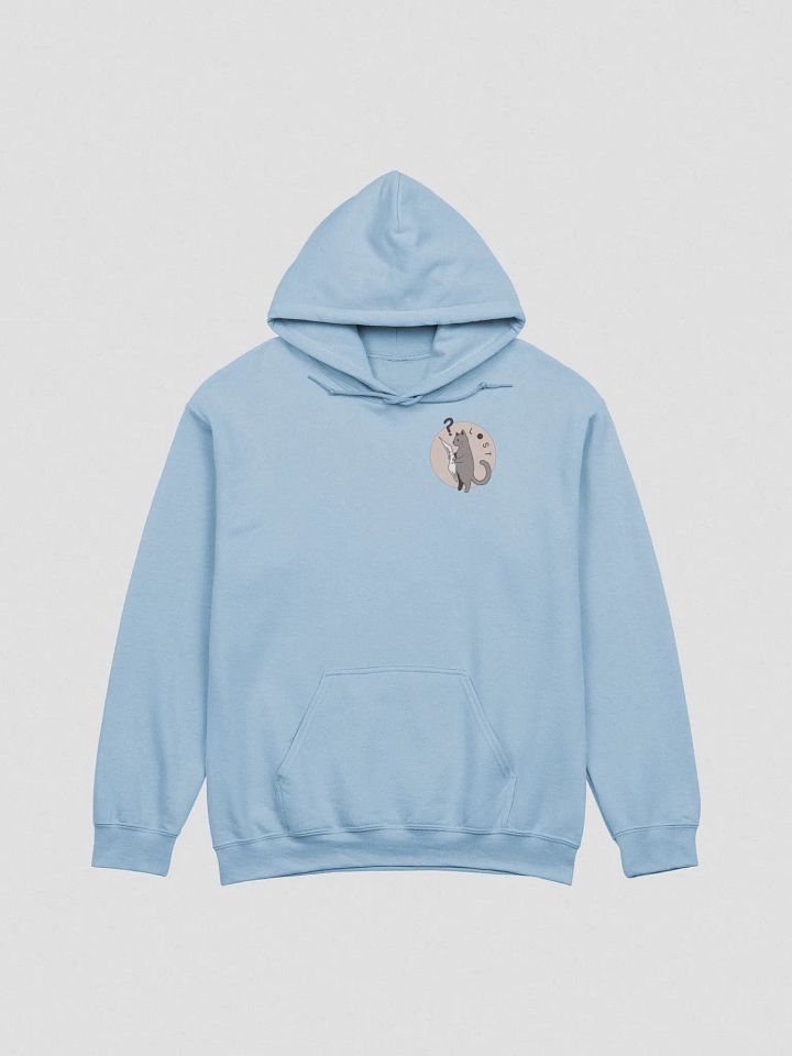 Lost Cat Small Front Logo Hoodie product image (1)