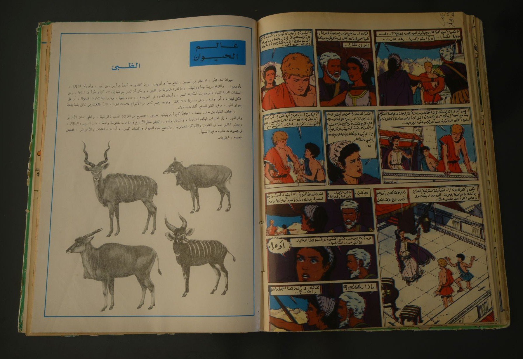 مجلد مجلة تان تان عام 1976 (المجلد الحادي والخمسون) product image (5)