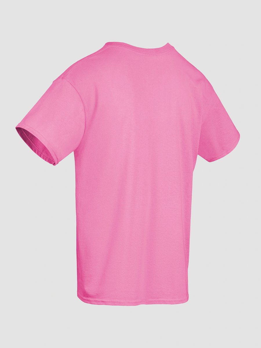 "Law & Order Must Prevail" Essential Truth Tee - Black Ink product image (10)