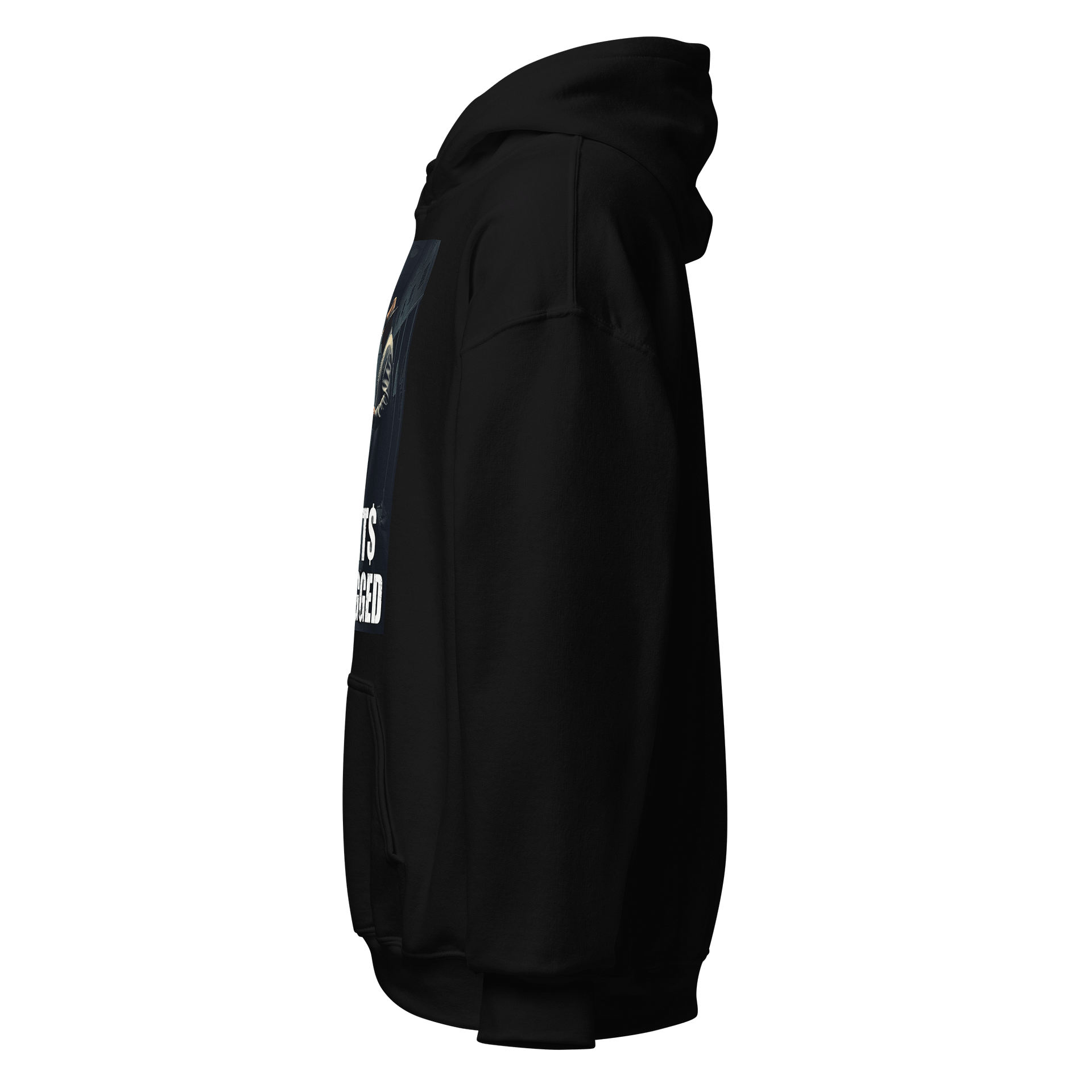 Rigged Sports Classic Hoodie product image (3)