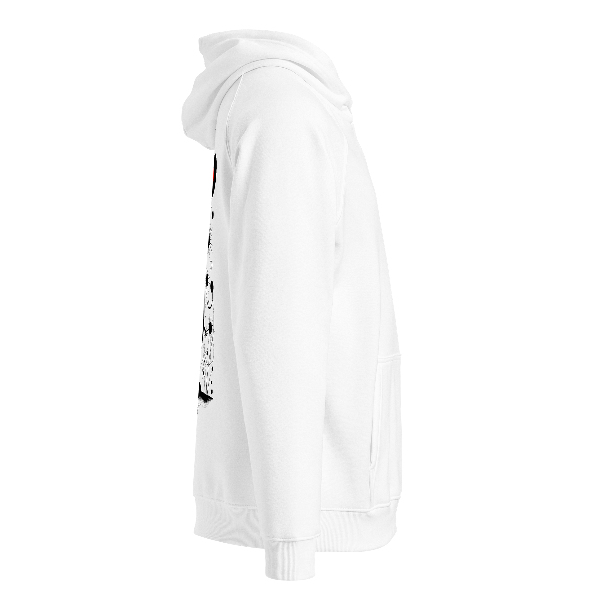 SOL'S Unisex Eco Raglan Hoodie product image (4)