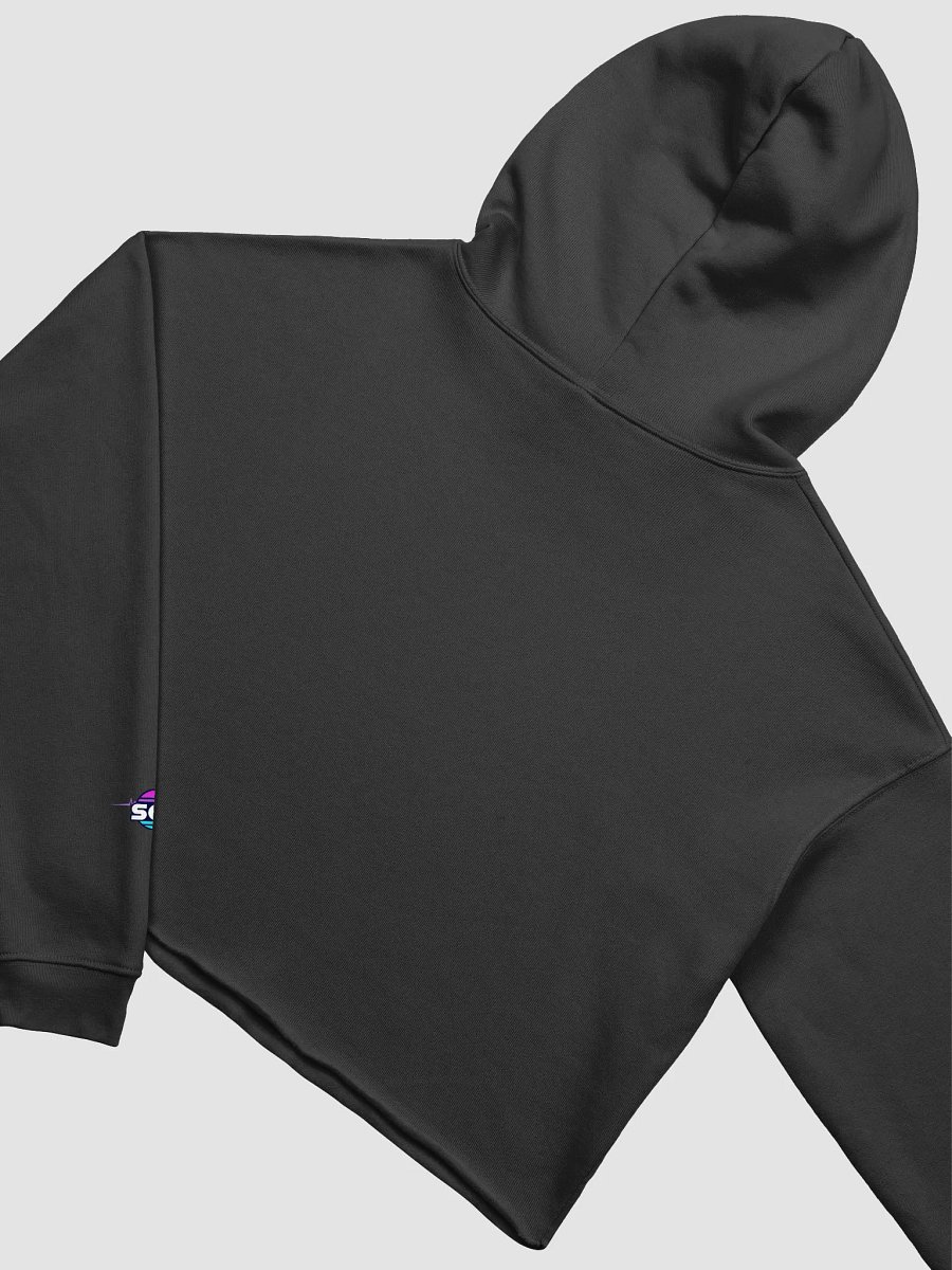 DJ D3LUZIONAL FLEECE CROP HOODIE product image (4)