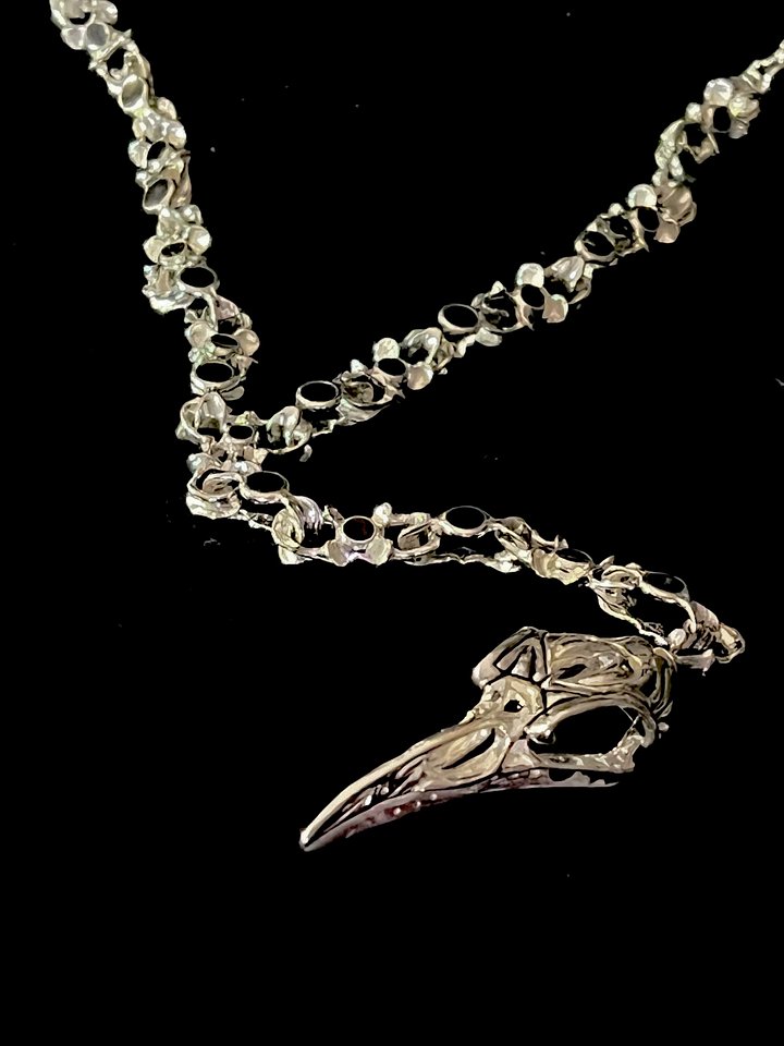 CROWSARY product image (1)