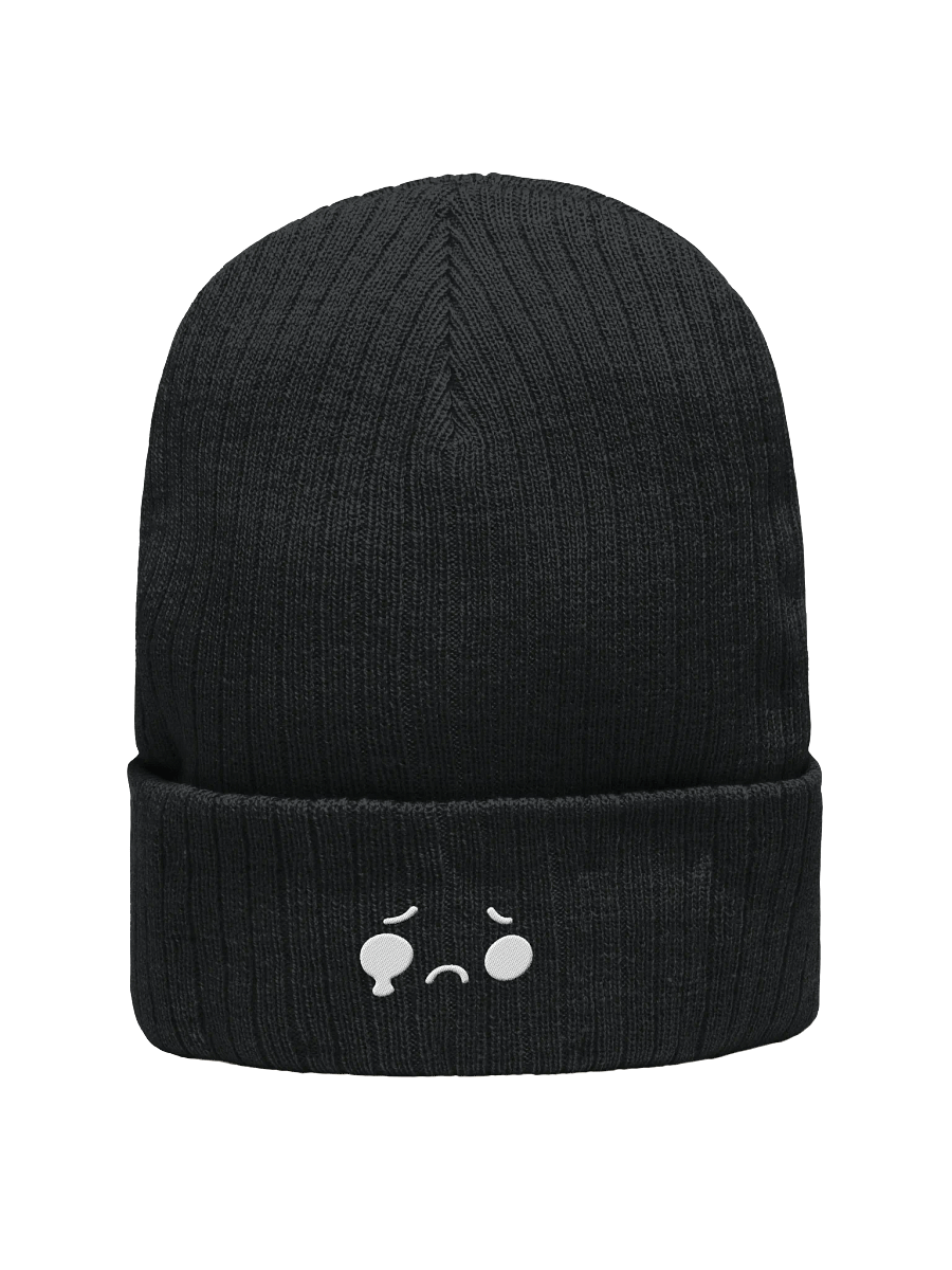 Temporary Beanie product image (2)