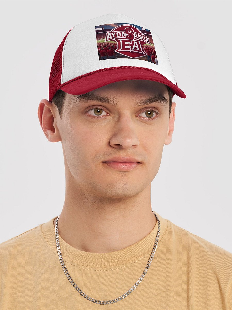 EA Hat product image (5)