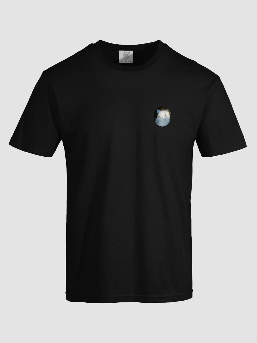 Tshirt product image (5)