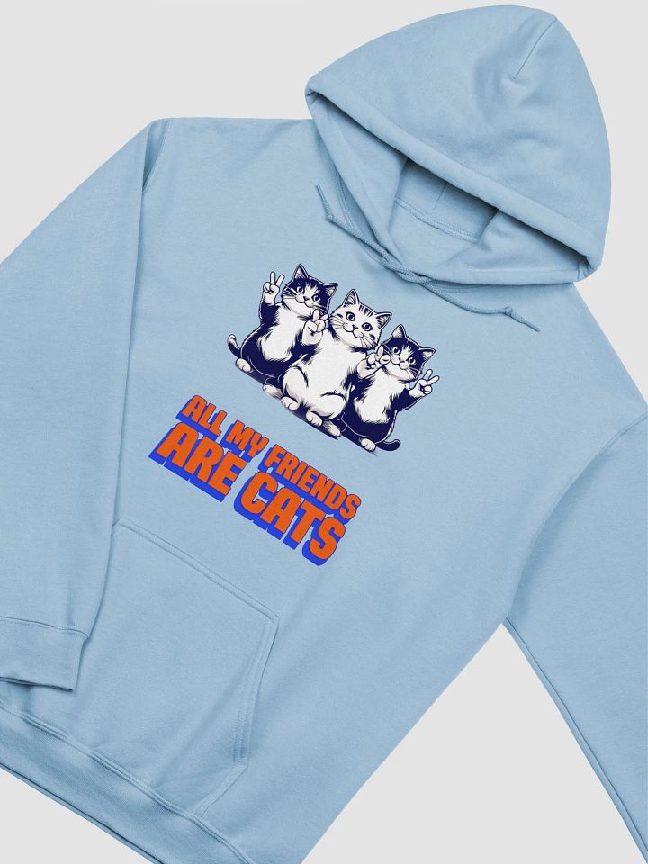 all my friends are cats hoodie product image (2)