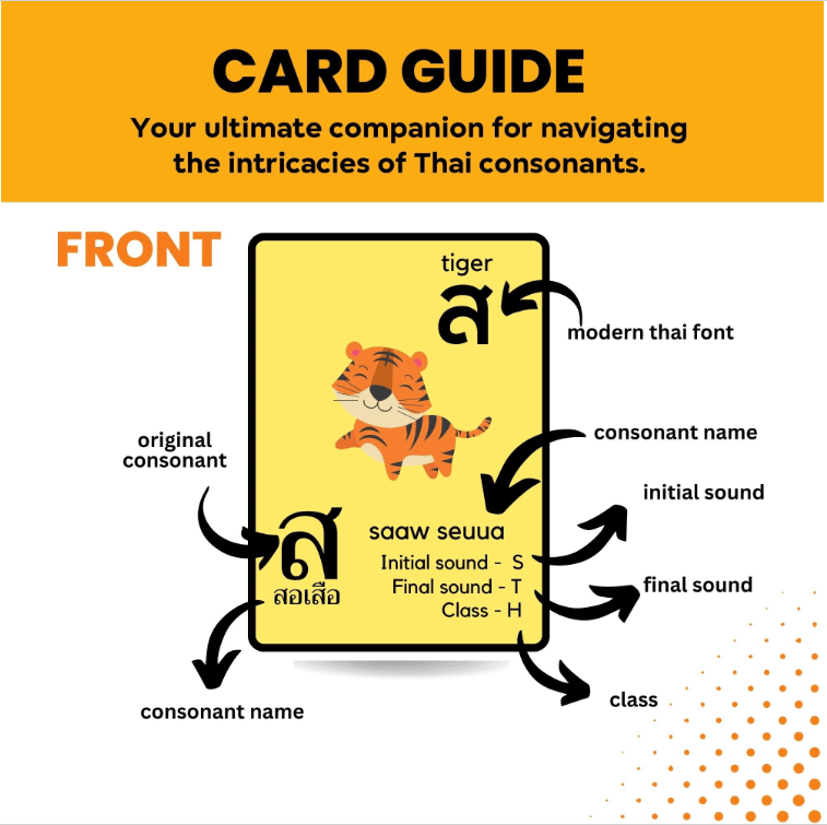 Dual Digital Thai Flashcards Consonants, Memorise Thai Script, Thailand Alphabets, Digital Download product image (4)