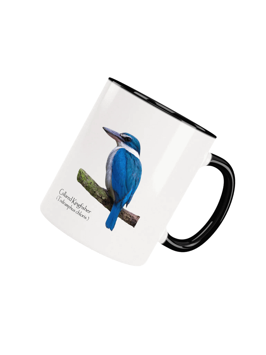 Collared Kingfisher mug product image (36)