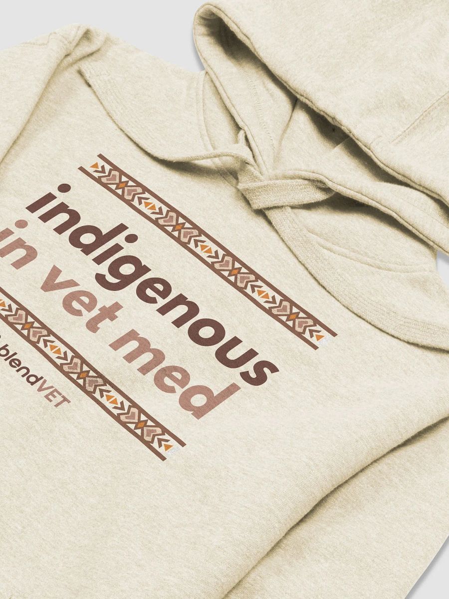Indigenous in Vet Med Hoodie product image (3)
