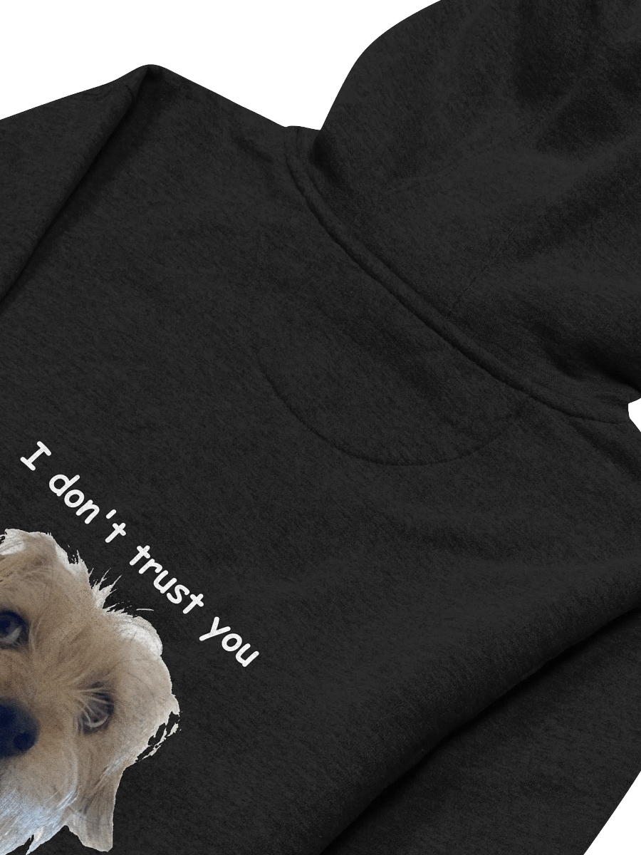 "I don't trust you" Hoodie product image (3)