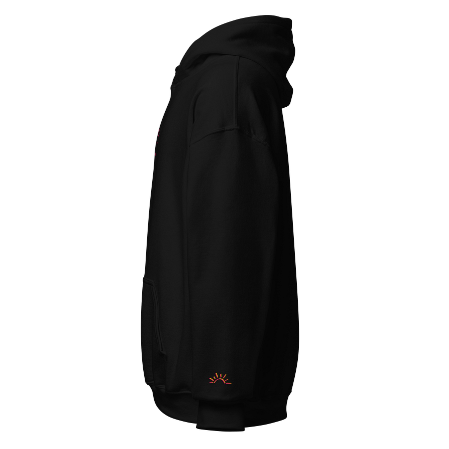 Daisy Embroidered Hoodie product image (9)