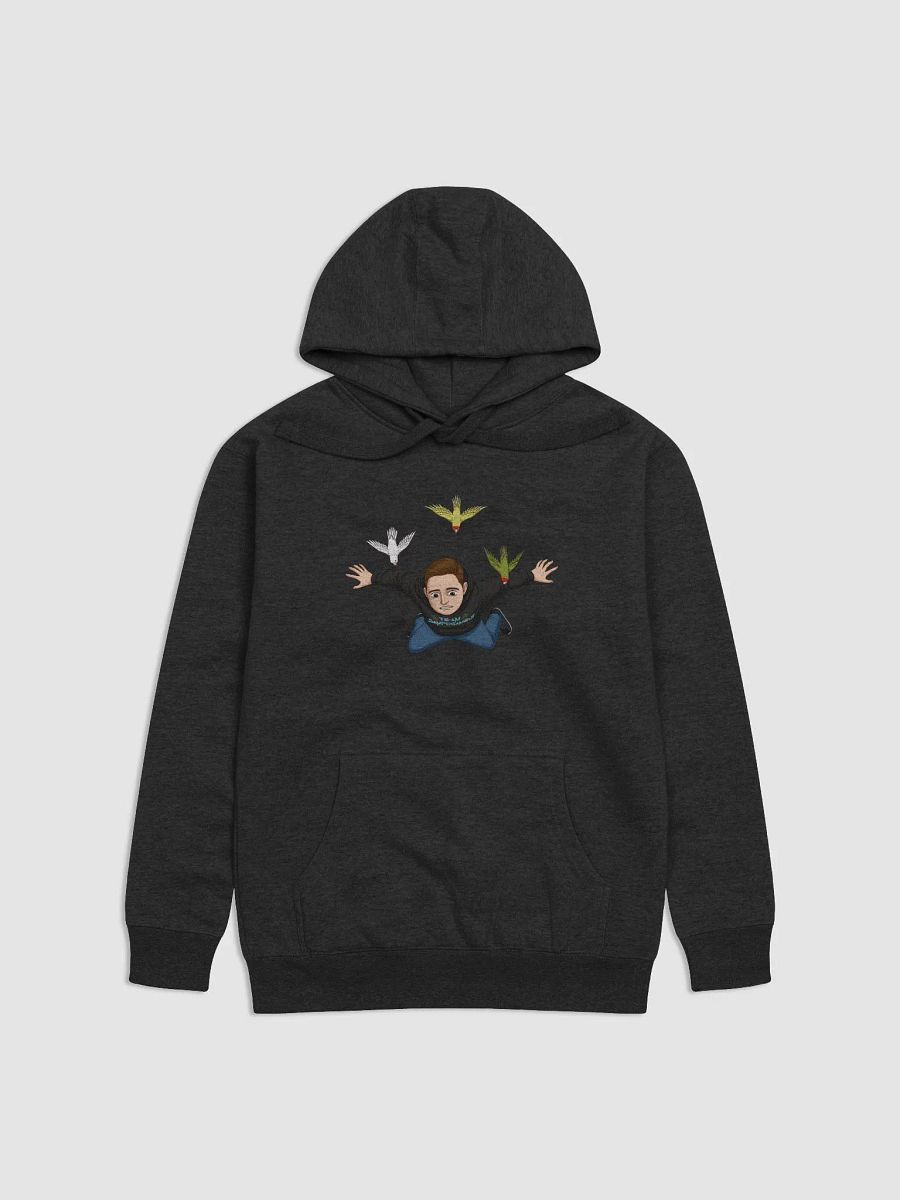 Faller Hoodie product image (1)