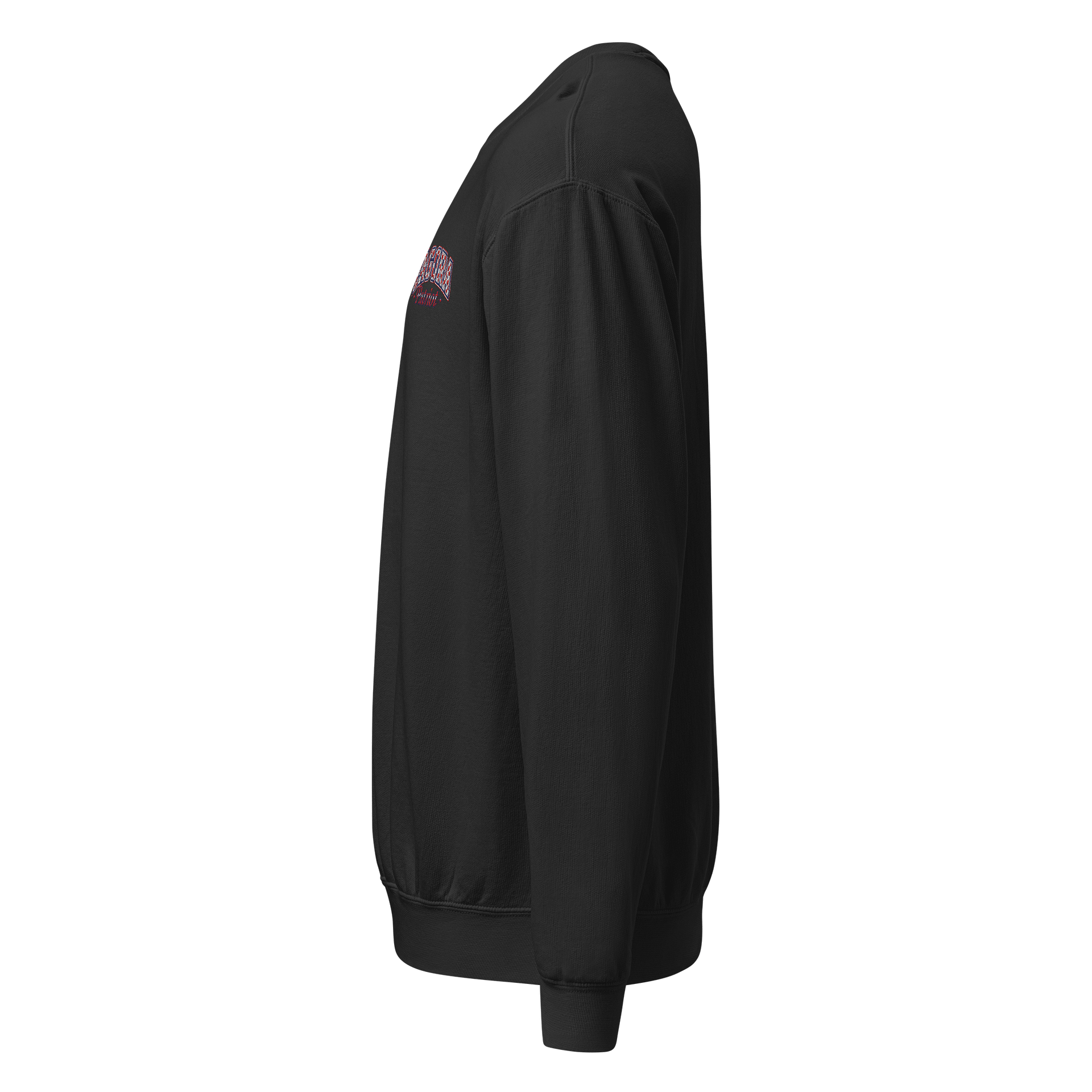 ZAGORA Patriot Checkered Sweatshirt product image (9)