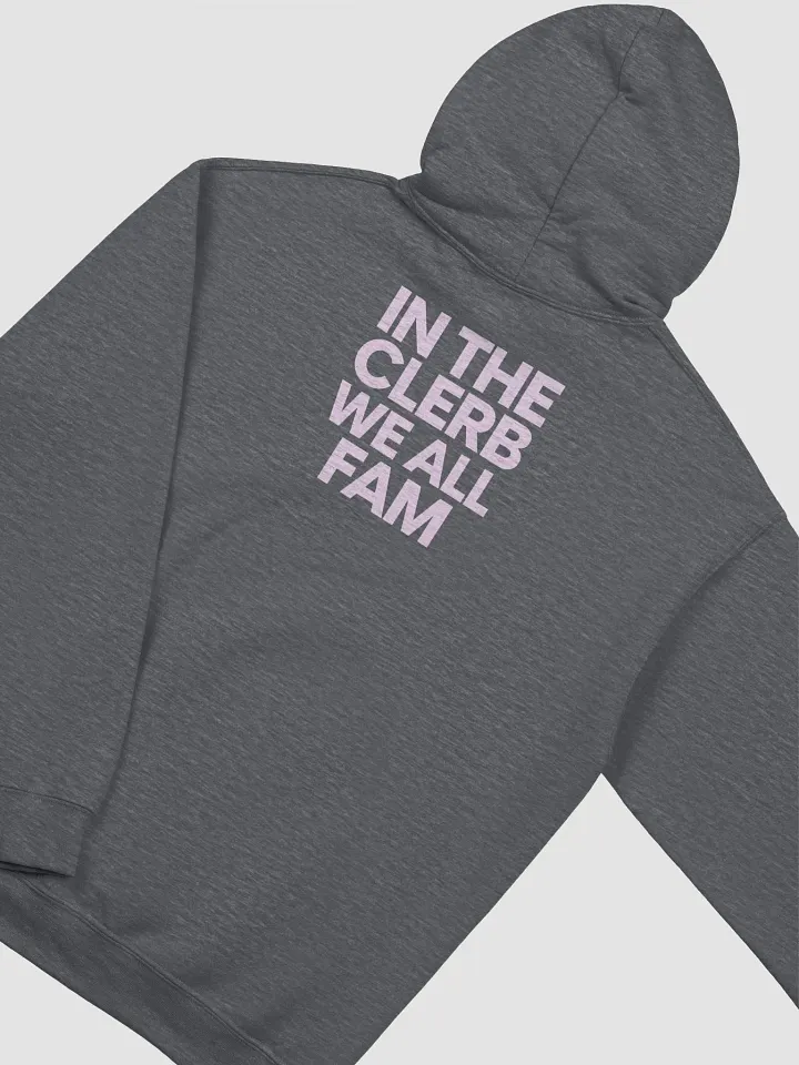 IN THE CLERB, WE ALL FAM Classic Hoodie product image (1)