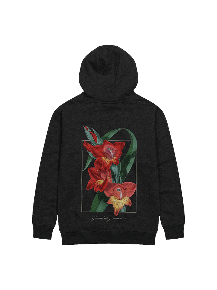 Gladiolus Gandiensis Flower Premium Adult Unisex Hoodie product image (1)