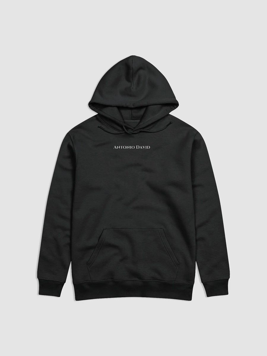 No Risk No Porsche Hoodie product image (6)