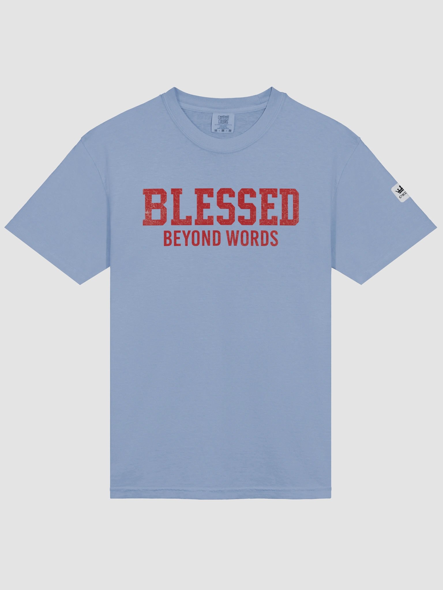 Blessed Beyond Words T-Shirt with Red Graphic product image (3)