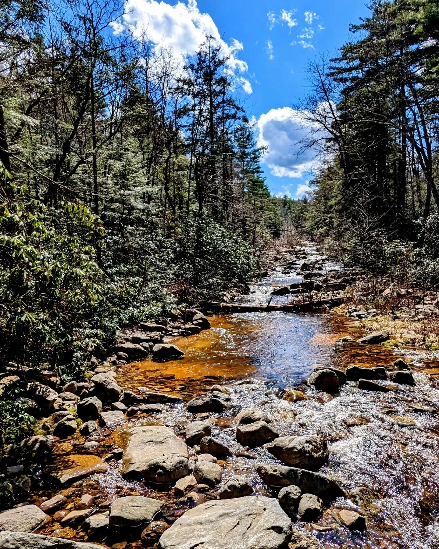 Who cares if you do more miles than you thought when this is what you're hiking through. Video tonight at 8 30pm over on my Y...