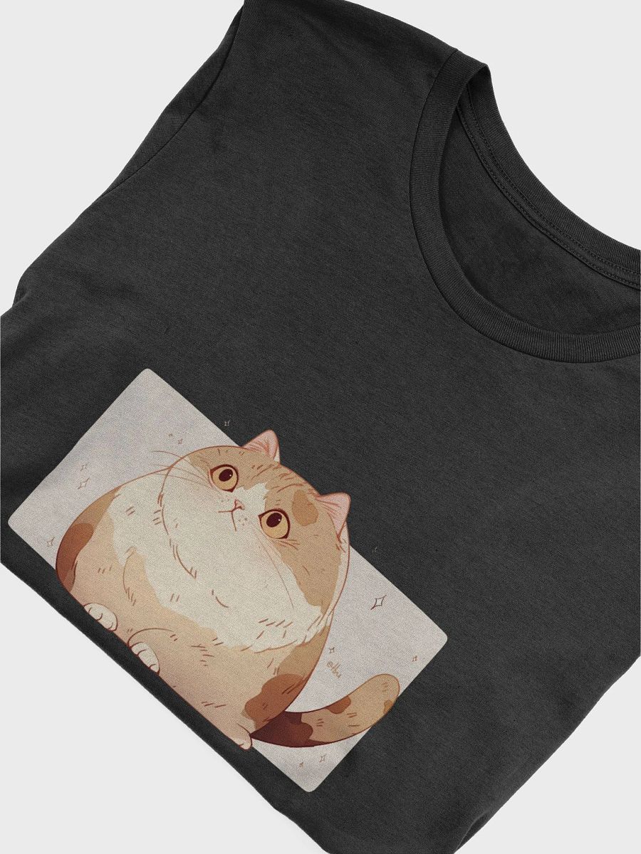 Cute Chubby Cat Looking Sideways product image (32)