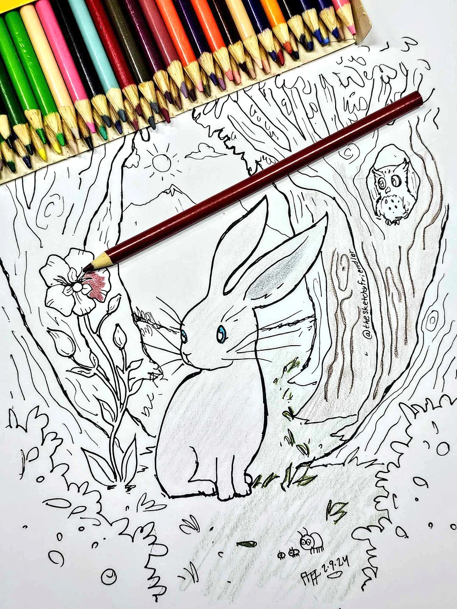 Forest Bunny - Coloring page by The Sketchy Friendler product image (1)