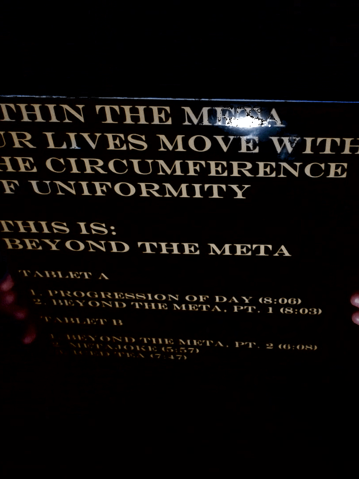 Beyond The Meta - Vinyl Record product image (2)