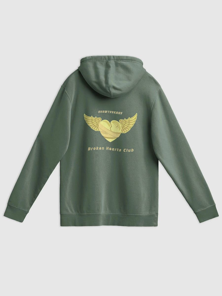 Washed Out by Sunlight Pigment Hoodie product image (19)