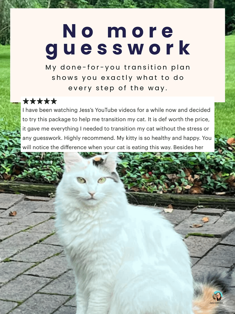 Ditch the Kibble video course ~ How to switch your cat from dry to healthy wet freeze-dried, or premade raw product image (8)