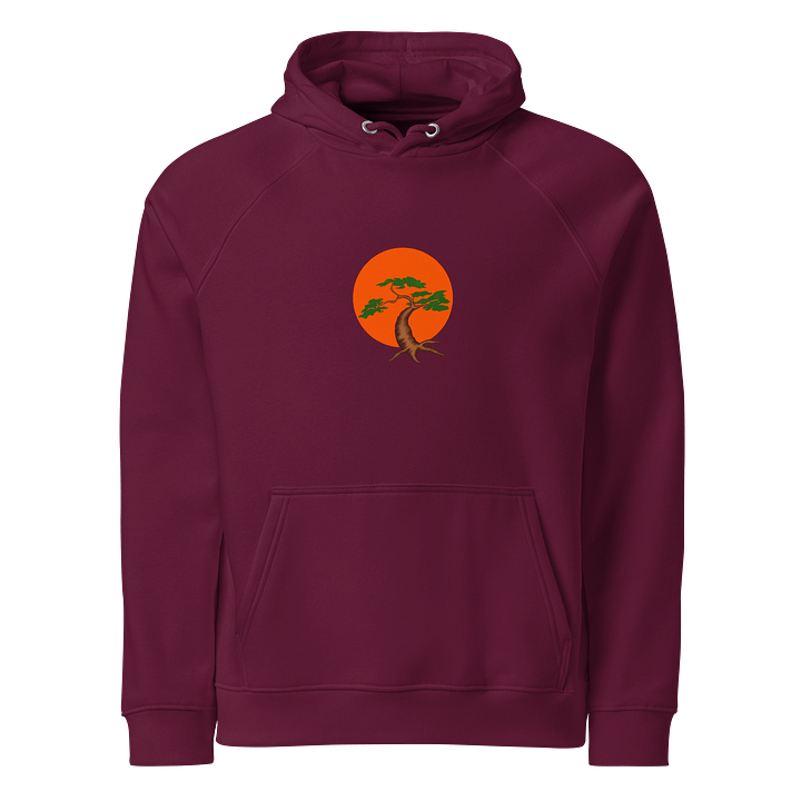 Bonsai Tree Eco Raglan Hoodie product image (1)