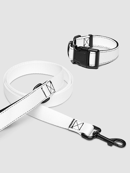 Photo showing Pet Collar & Leash