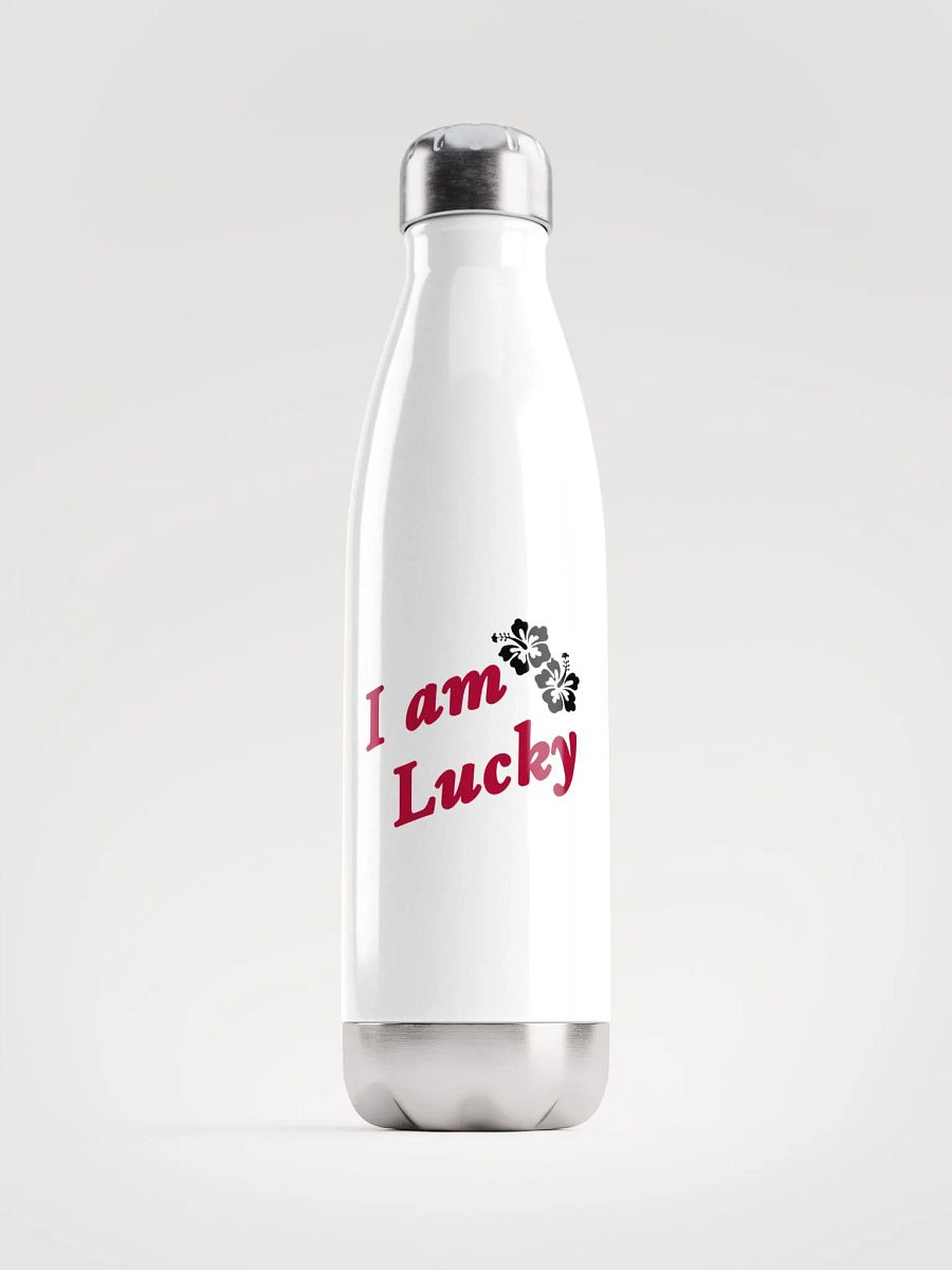 Lucky manifestation Stainless Steel Water Bottle product image (3)