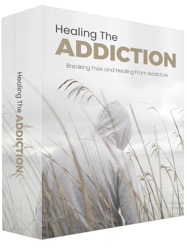 Healing The Addiction eBook product image (4)