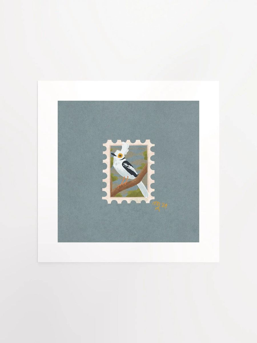 White Crested Helmetshrike Stamp Print – Birbfest 2024 product image (2)