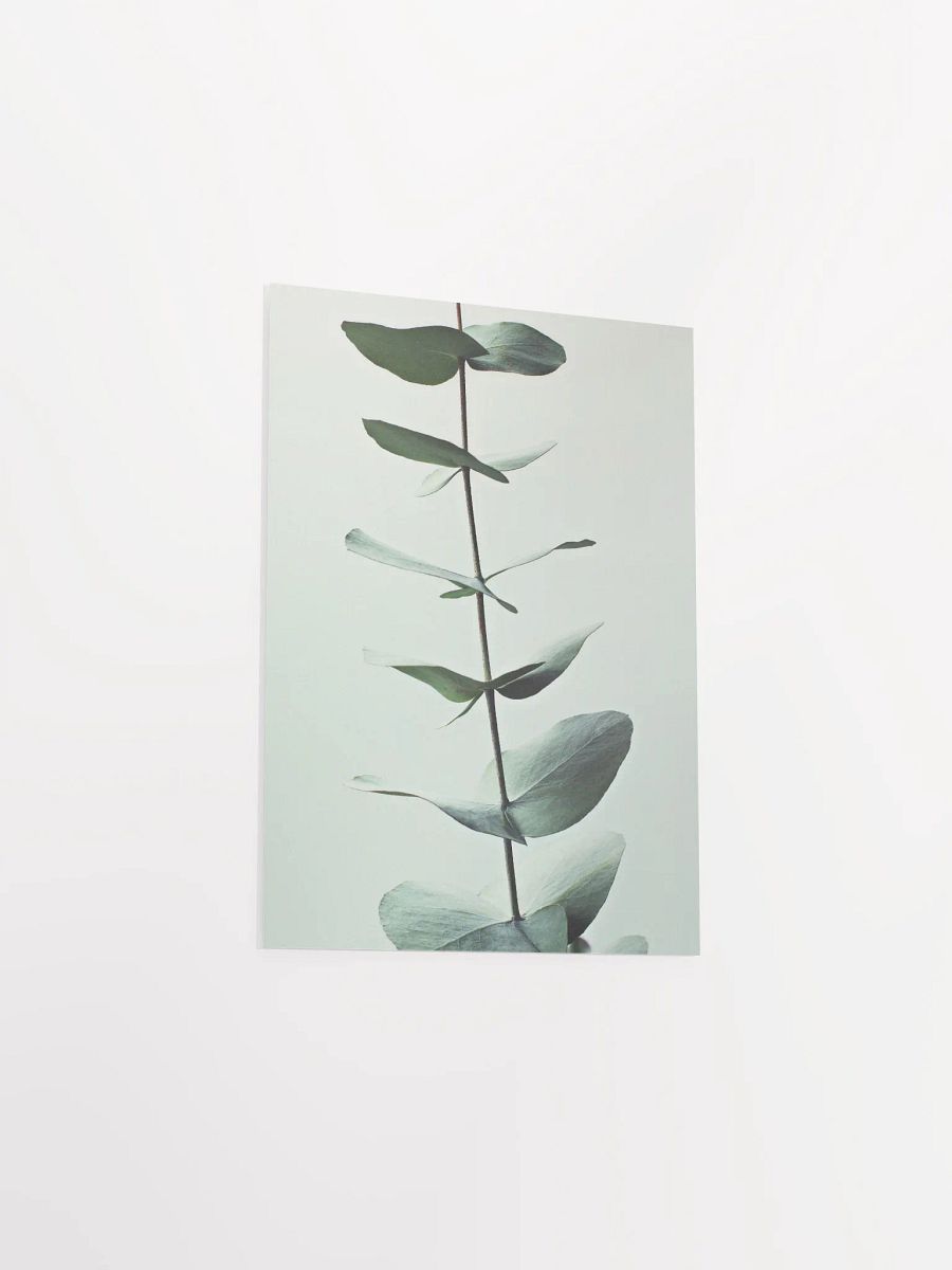 Eucalyptus Whispers Matte Poster product image (33)