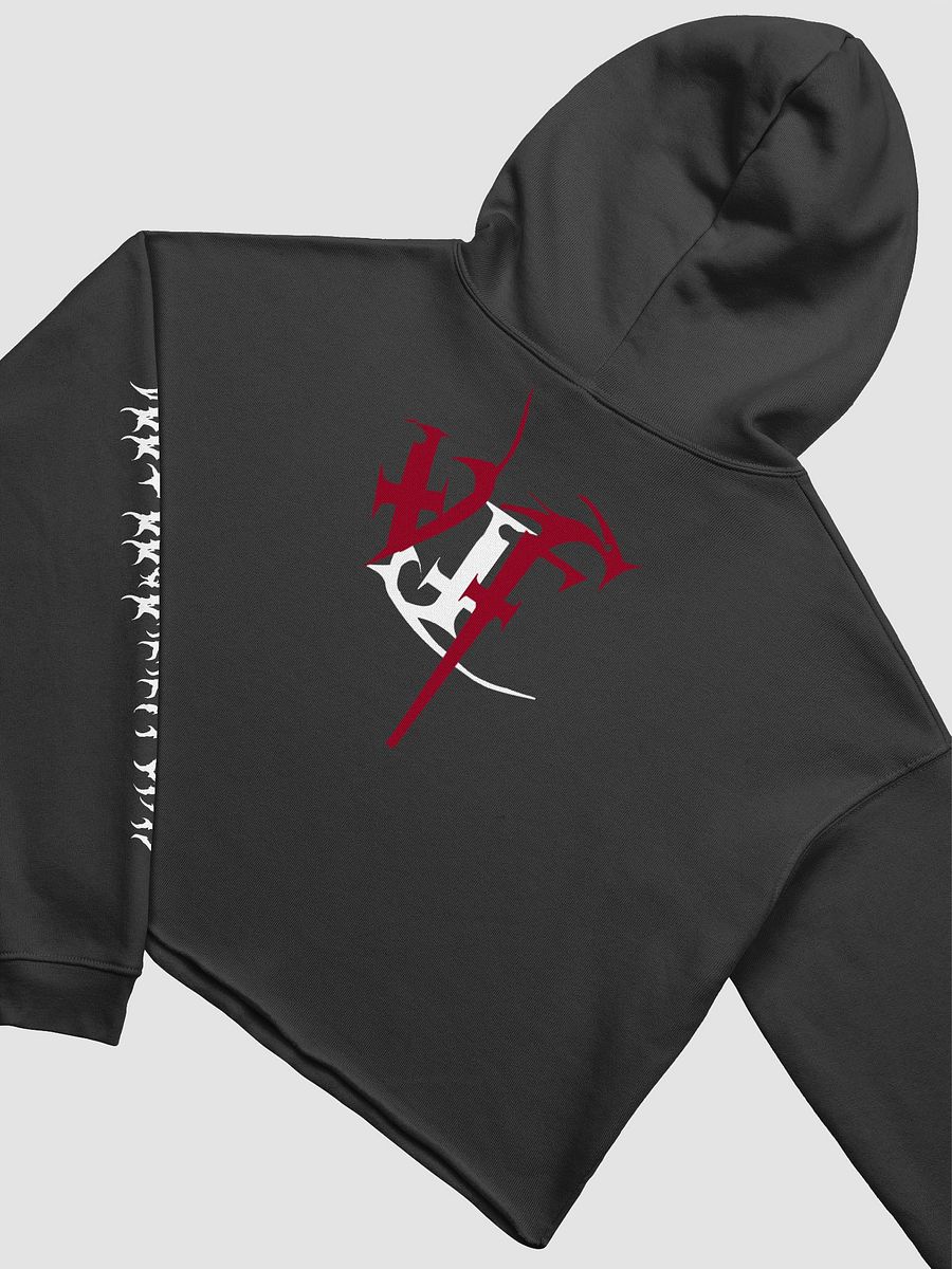 Voodoo Metal Crop Top Hoodie product image (10)