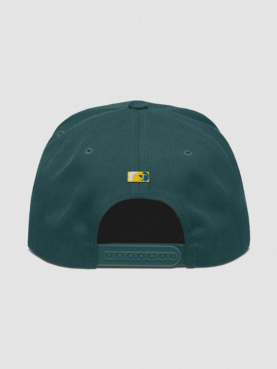 Knarly Era Embroidered Snapback (Spruce) product image (4)
