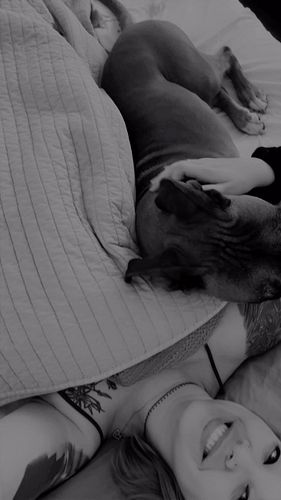 How I got to wake up this morning 🥰 
I may be away from home and my babies, but I had this handsome doggo to keep me company!