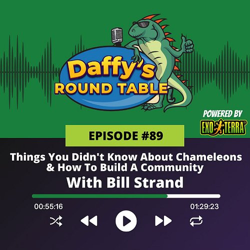 Episode #89 of Daffy’s Round Table! 

Chameleons are their own niche within the niche that is the reptile hobby and I think t...