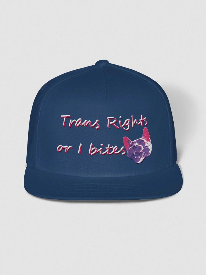 TROIB Snapback hat in pink product image (2)