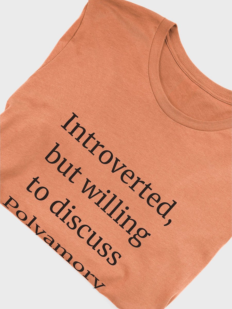 T-Shirt: Exchange Pronouns product image (11)