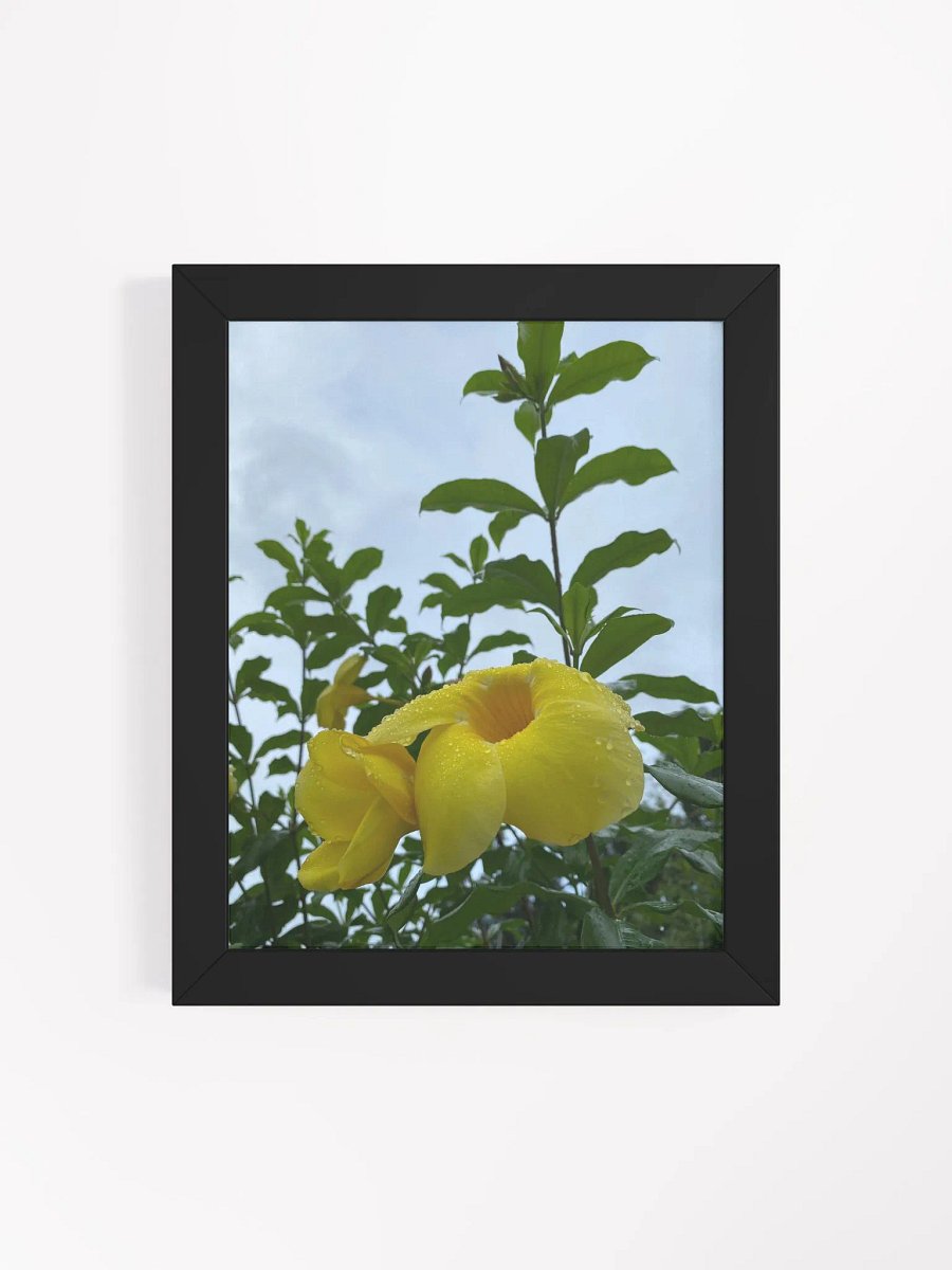 Yellow Bell Flower product image (19)