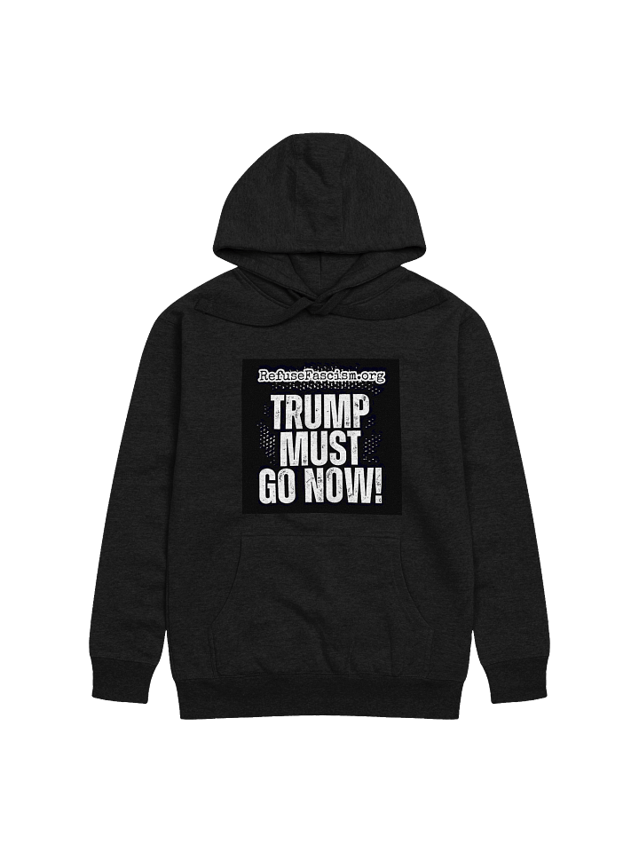 Trump Must Go Now! Hoodie product image (1)