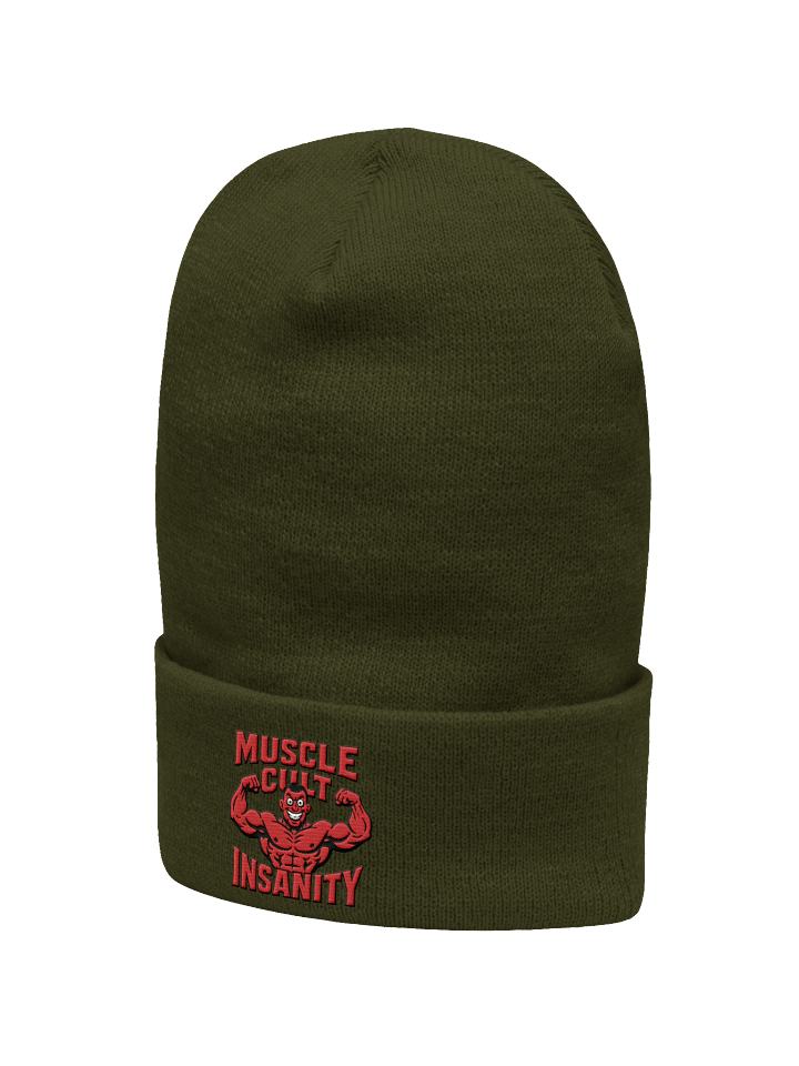 Mascot Manny: "It's A Beanie, Baby!!!" product image (2)