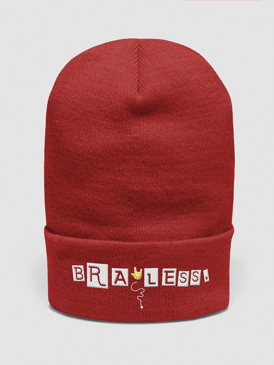 The Beanie product image (2)