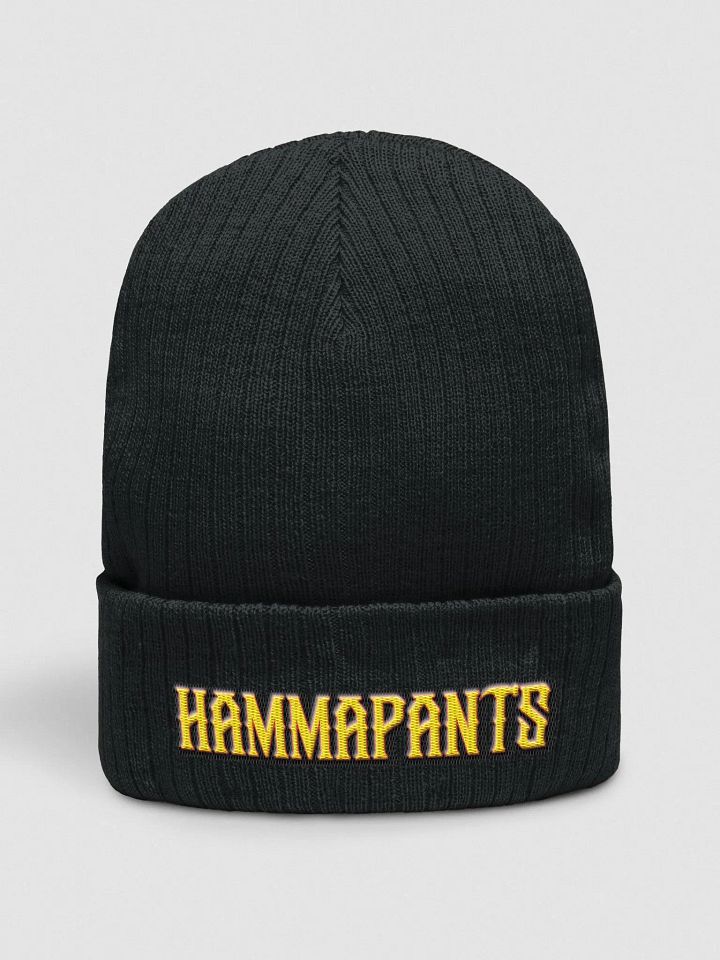 Hammapants Beanie Fitted product image (1)