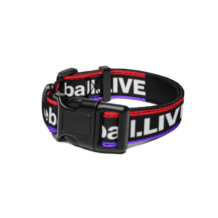 Dodgeball.LIVE Dog Collar product image (1)
