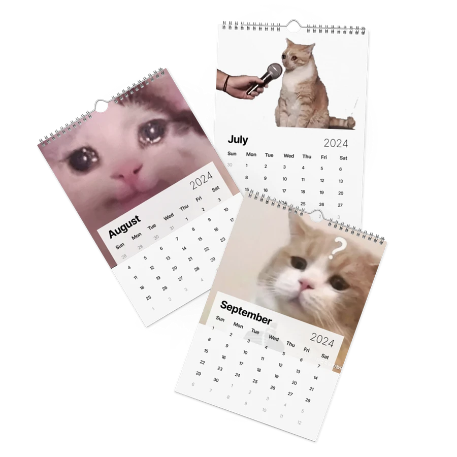 Wall Calendar (2024): Meme Cats product image (11)