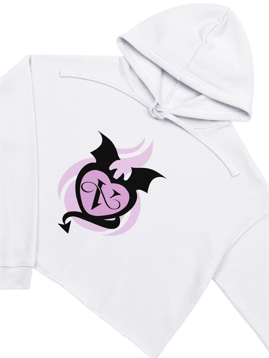 Oni's Signet Crop Hoodie product image (3)