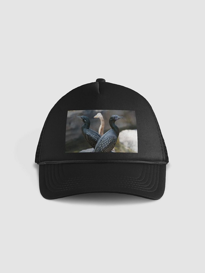 Mystic Avian Snapback Hat product image (1)